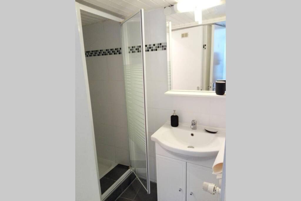 Appartement Cosy Rue Sainte Madeleine Strazburg Dış mekan fotoğraf